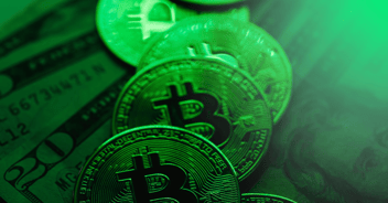 Fraud protection services
