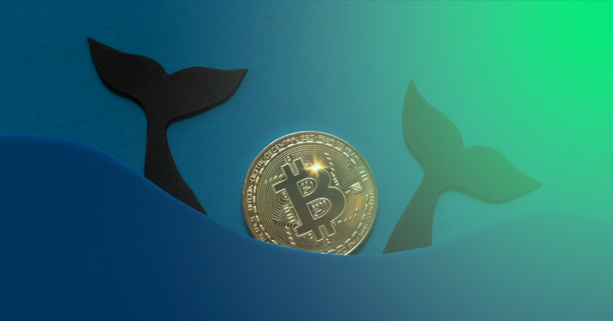 Crypto Regulations - 12 July 